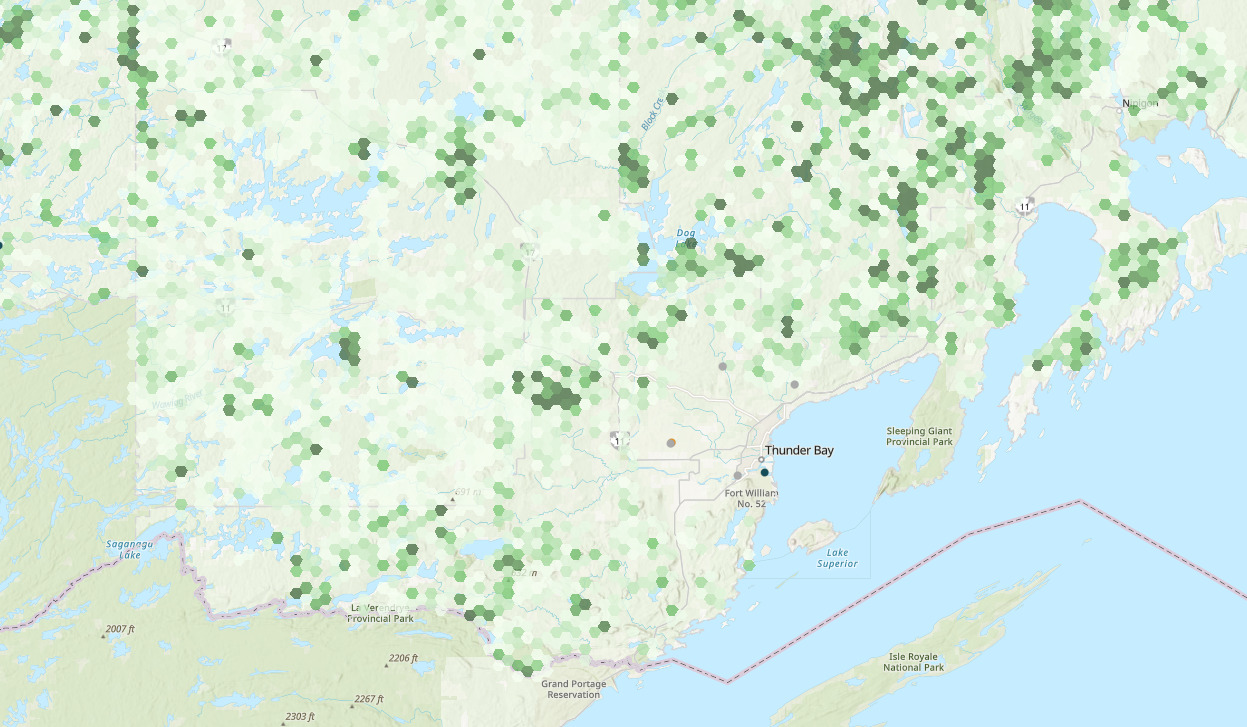 A screenshot of a map showing hexagons of varying darkness of green, indicating amounts of available wood in the Thunder Bay region
