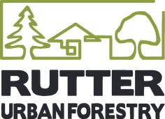 RUF transparent logo